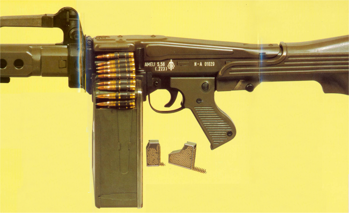 Ameli with Winter Trigger Group