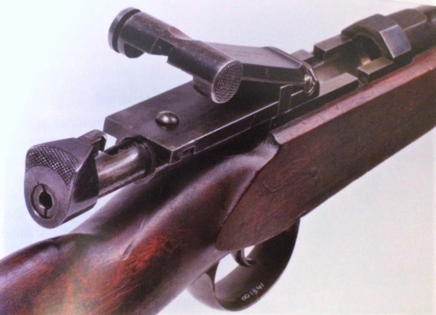 51036513_2209579459265619_6545350938708672512_n (1)