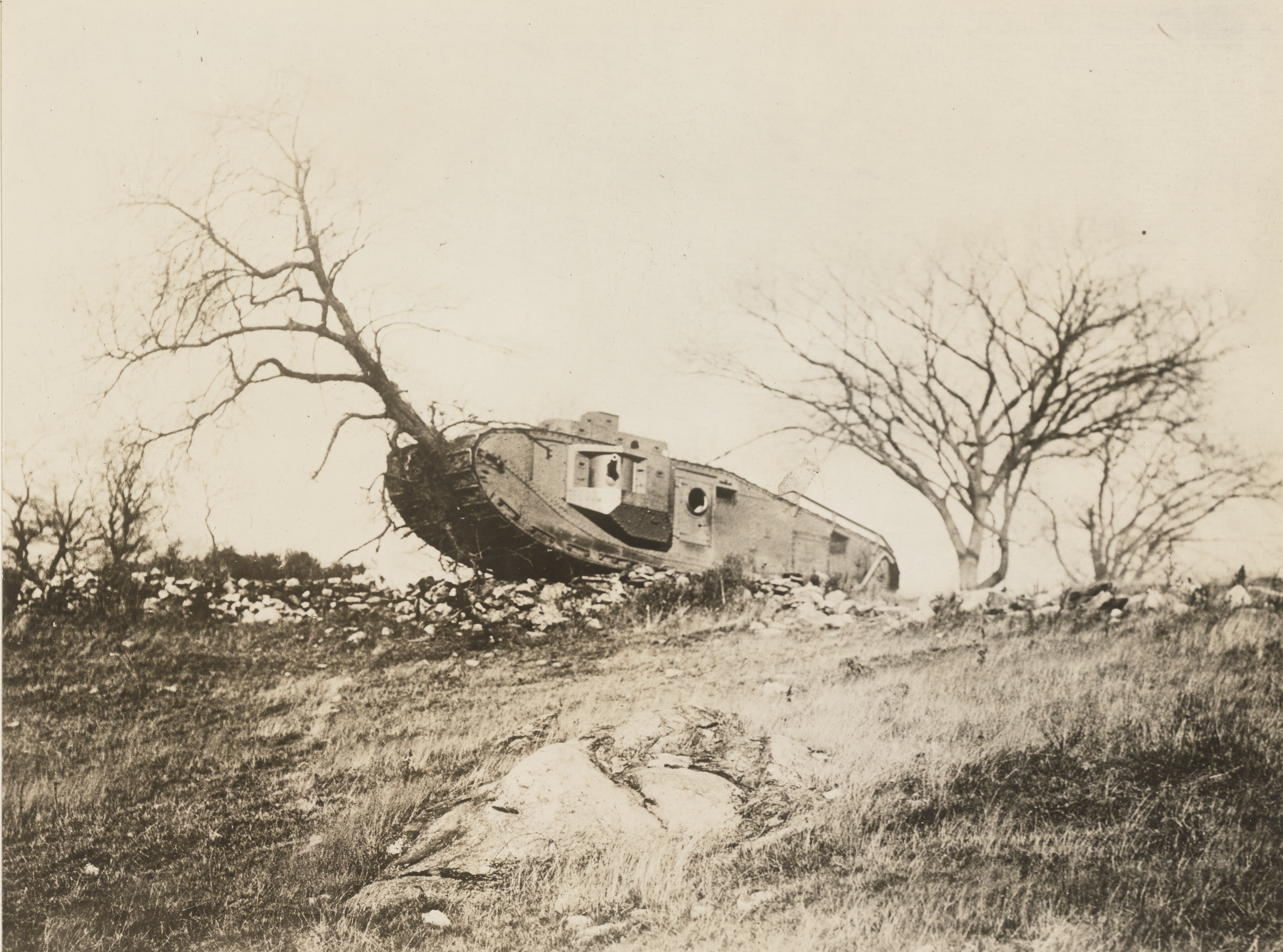 165-WW-313A-047 - Copy.jpg